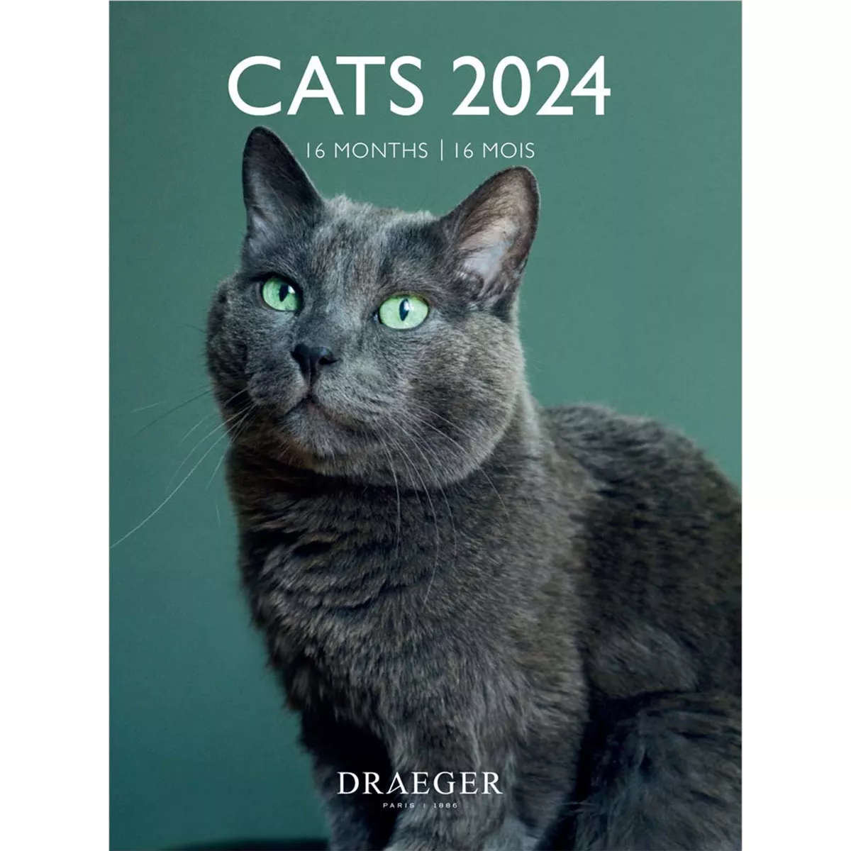 Draeger - Calendario 2024 16 Meses (Septiembre-Diciembre) Mes Vista Por Página Con Motivos De Gatos En Oferta Draeger - Calendario 2024 16 Meses (Septiembre-Diciembre) Mes Vista Por Página Con Motivos De Gatos Barato