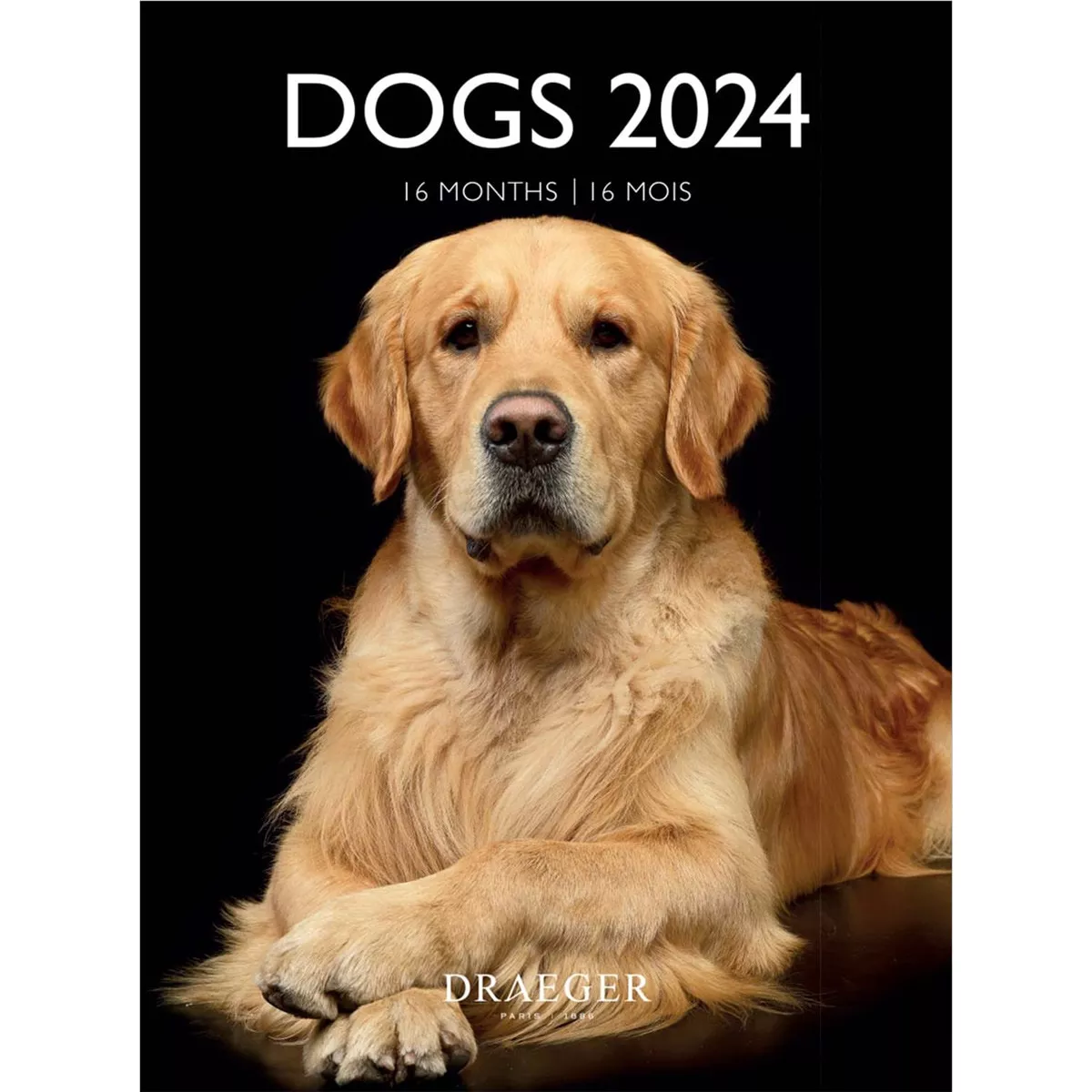 Draeger - Calendario 2024 16 Meses (septiembre-diciembre) Mes Vista Por Página Con Motivos De Perros barato