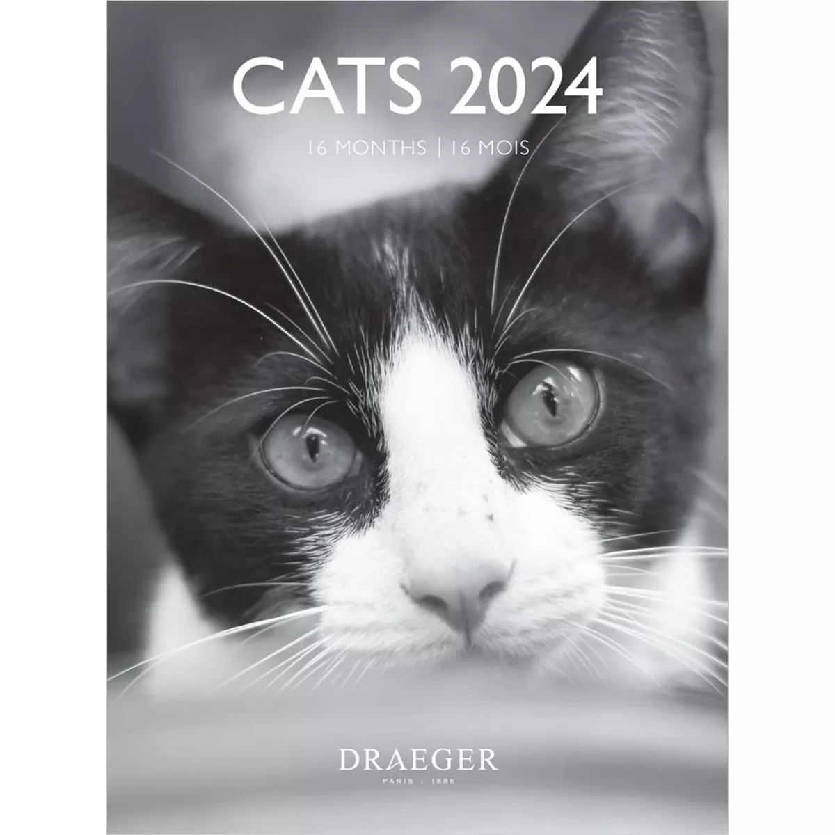 Draeger - Calendario 2024 16 Meses (Septiembre-Diciembre) Mes Vistas Por Página Con Motivos De Gatos Blanco Y Negro En Oferta Draeger - Calendario 2024 16 Meses (Septiembre-Diciembre) Mes Vistas Por Página Con Motivos De Gatos Blanco Y Negro Barato