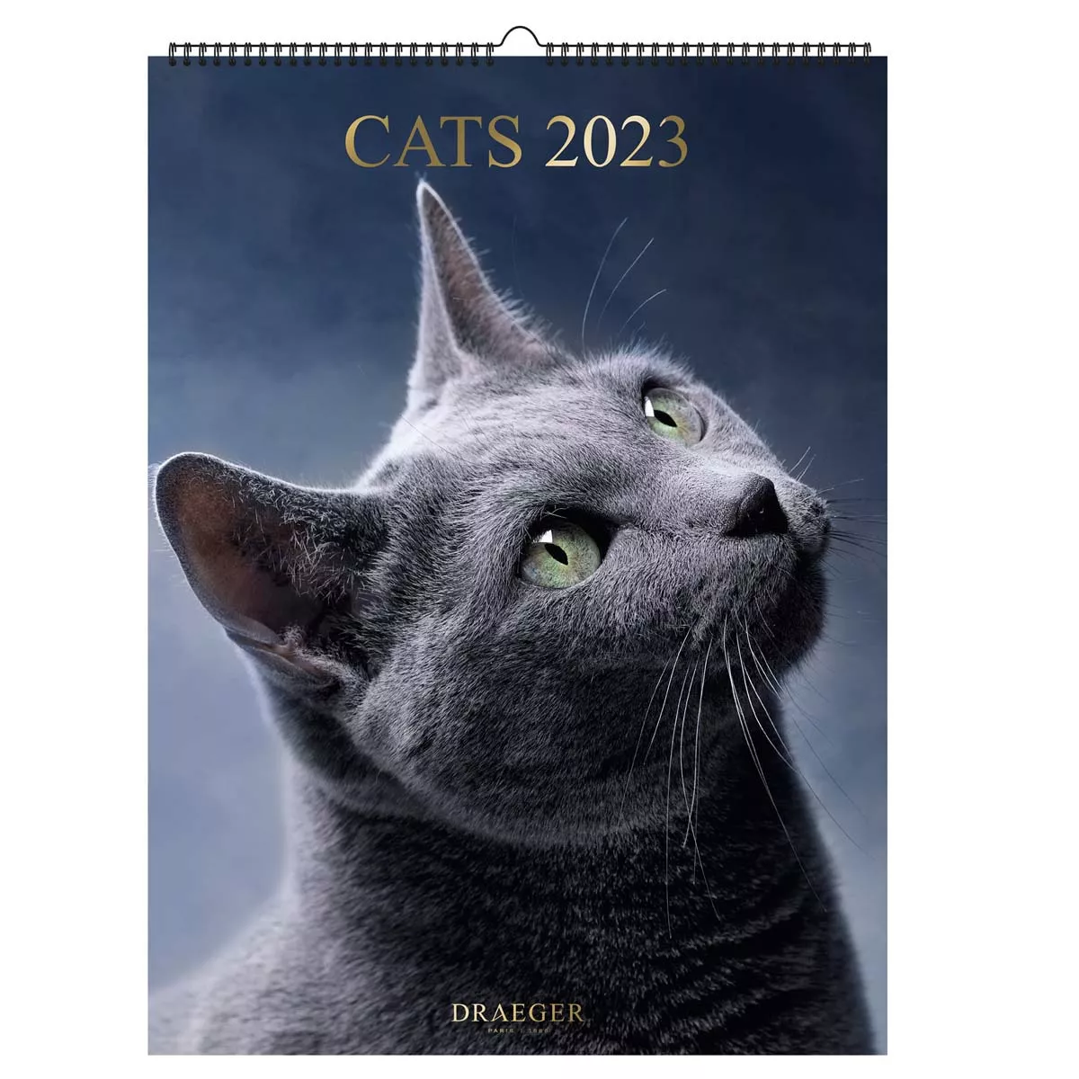 Draeger - Calendario Decoración 2023 12 Meses Mes Vistas Por Página Con Motivos De Gatos En Oferta Draeger - Calendario Decoración 2023 12 Meses Mes Vistas Por Página Con Motivos De Gatos Barato