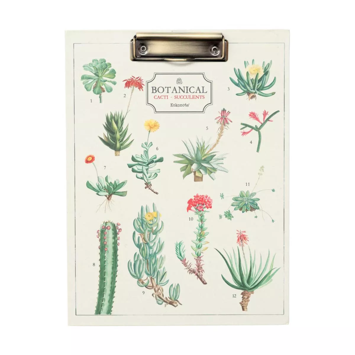 Grupo Erik Editores, S.l. - Carpeta A4 Con Pinza Botanical Cacti Verde Y Beige En Oferta Grupo Erik Editores