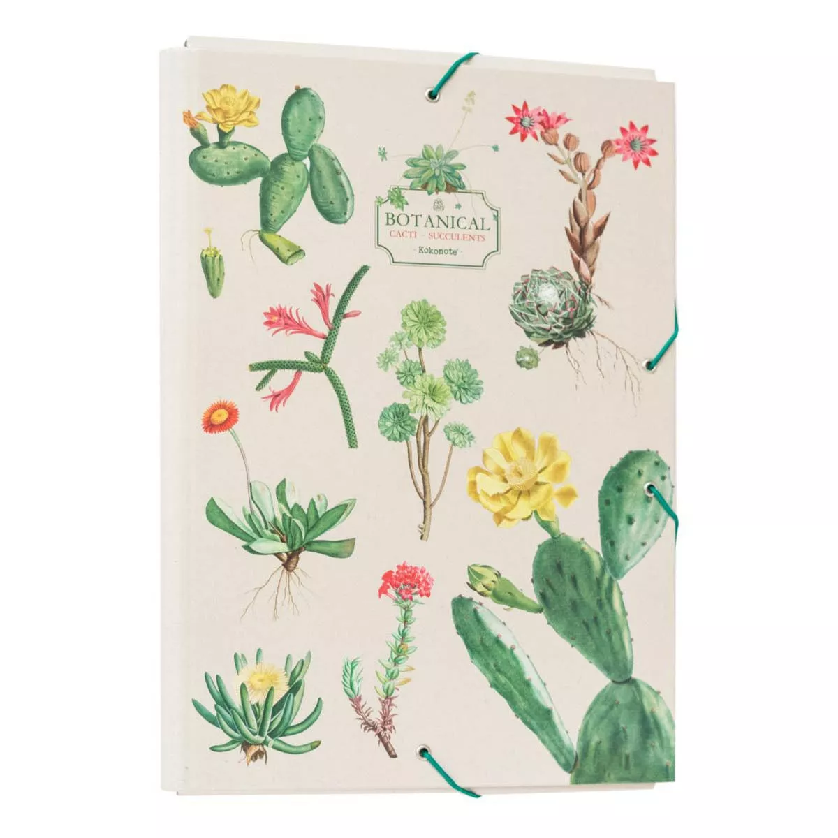 Grupo Erik Editores, S.l. - Carpeta Solapas Botanical 34X24,5X2,5 Grupo Erik Editores Verde En Oferta Grupo Erik Editores