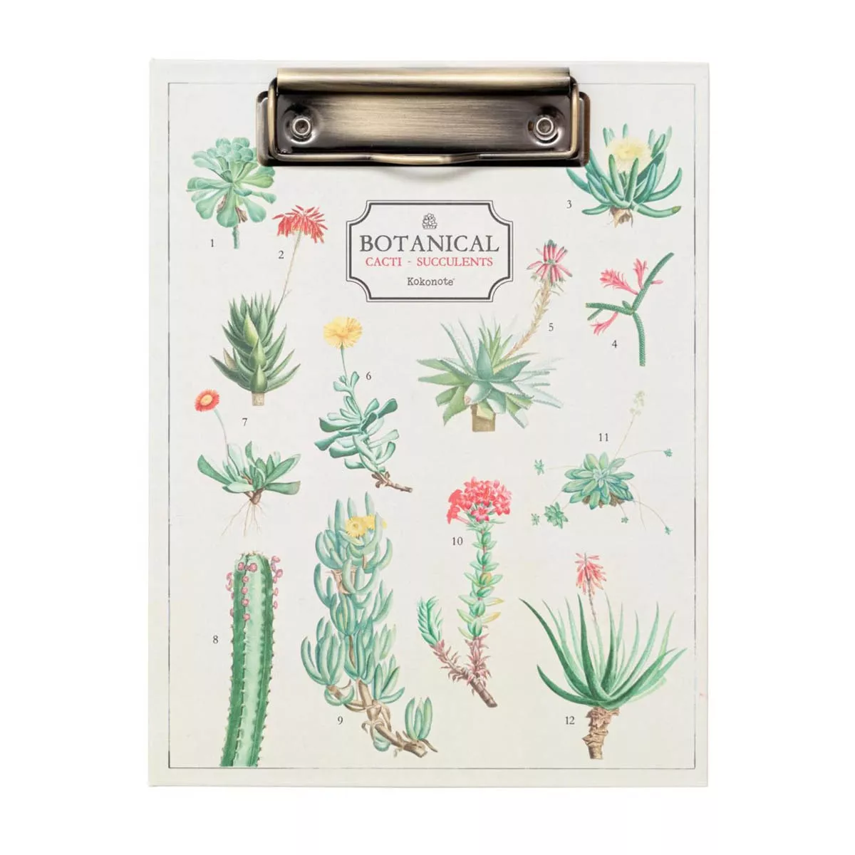 Kokonote - Carpeta A5 Con Pinza Botanical Cacti Blanco barato