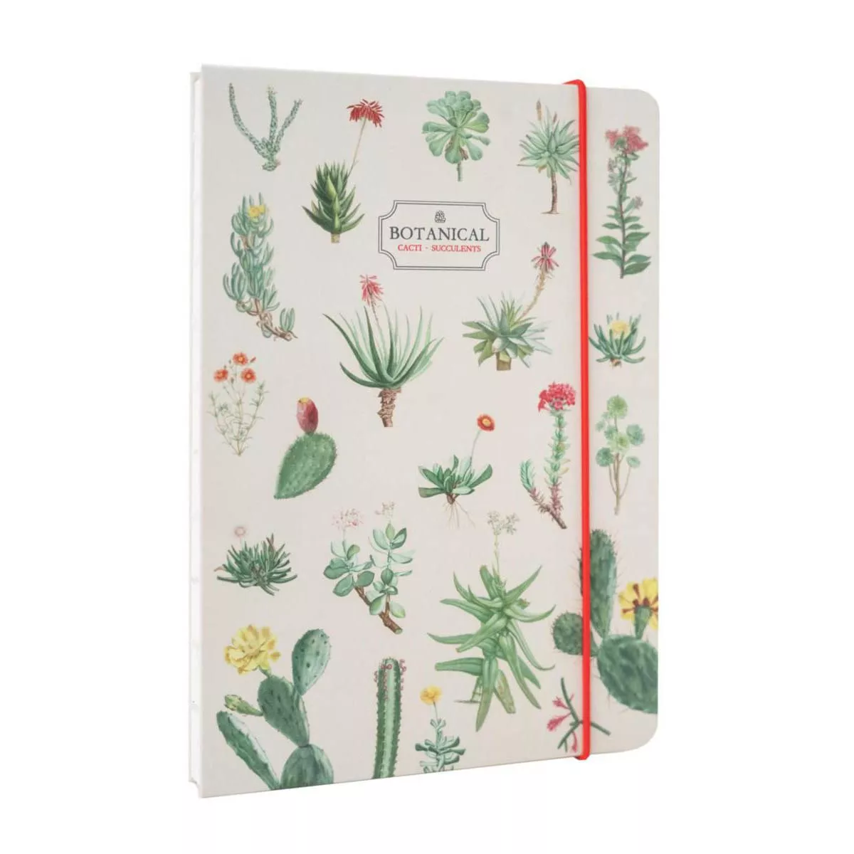 Kokonote - Cuaderno Encuadernación Artesanal A5 Botanical Cacti And Succulents Verde Y Beige En Oferta Kokonote - Cuaderno Encuadernación Artesanal A5 Botanical Cacti And Succulents Verde Y Beige Barato