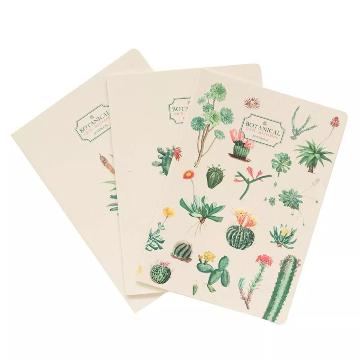 Kokonote - Pack 3 Cuadernos A5 Botanical Cacti Verde Y Beige En Oferta Kokonote - Pack 3 Cuadernos A5 Botanical Cacti Verde Y Beige Barato
