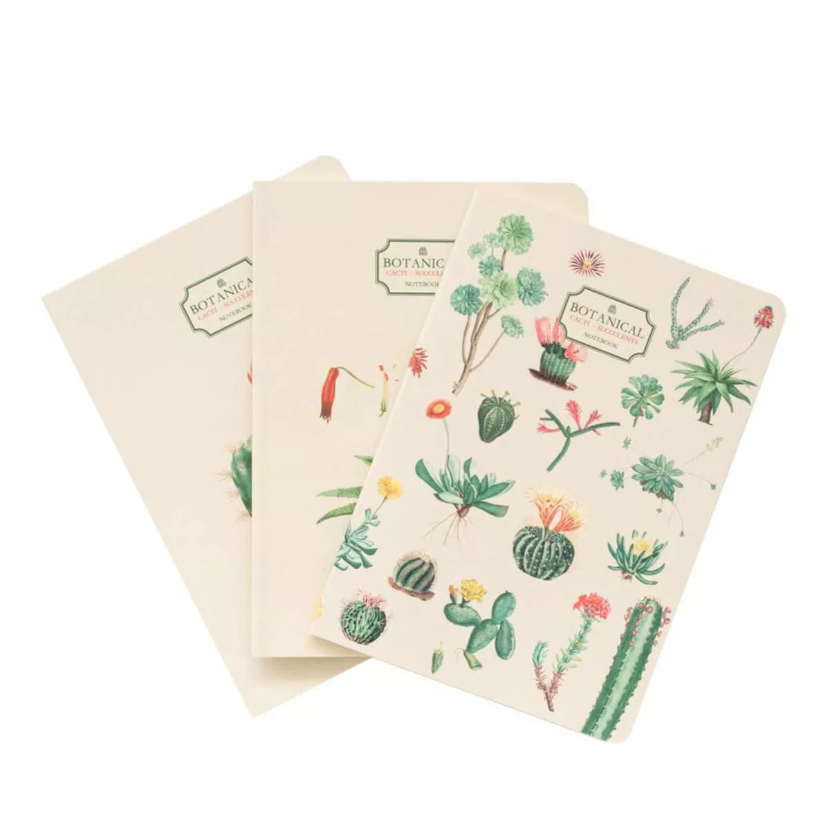 Kokonote - Pack 3 Cuadernos A6 Botanical Cacti Verde Y Beige En Oferta Kokonote - Pack 3 Cuadernos A6 Botanical Cacti Verde Y Beige Barato