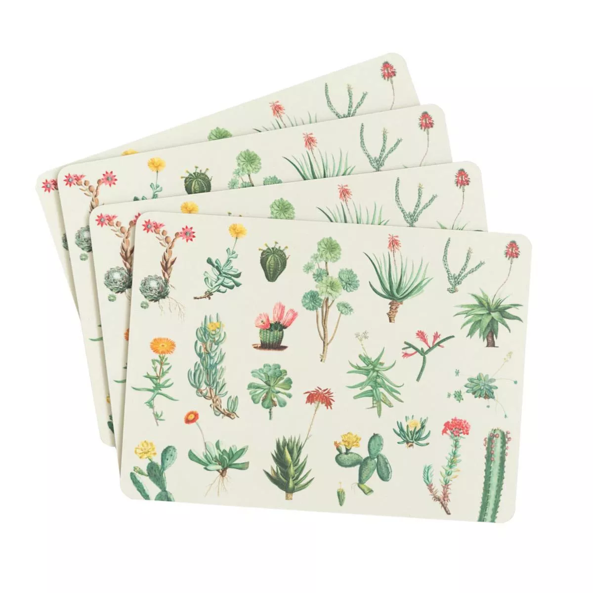 Kokonote - Set 4 Salvamanteles Botanical Cacti Verde Y Beige En Oferta Kokonote - Set 4 Salvamanteles Botanical Cacti Verde Y Beige Barato