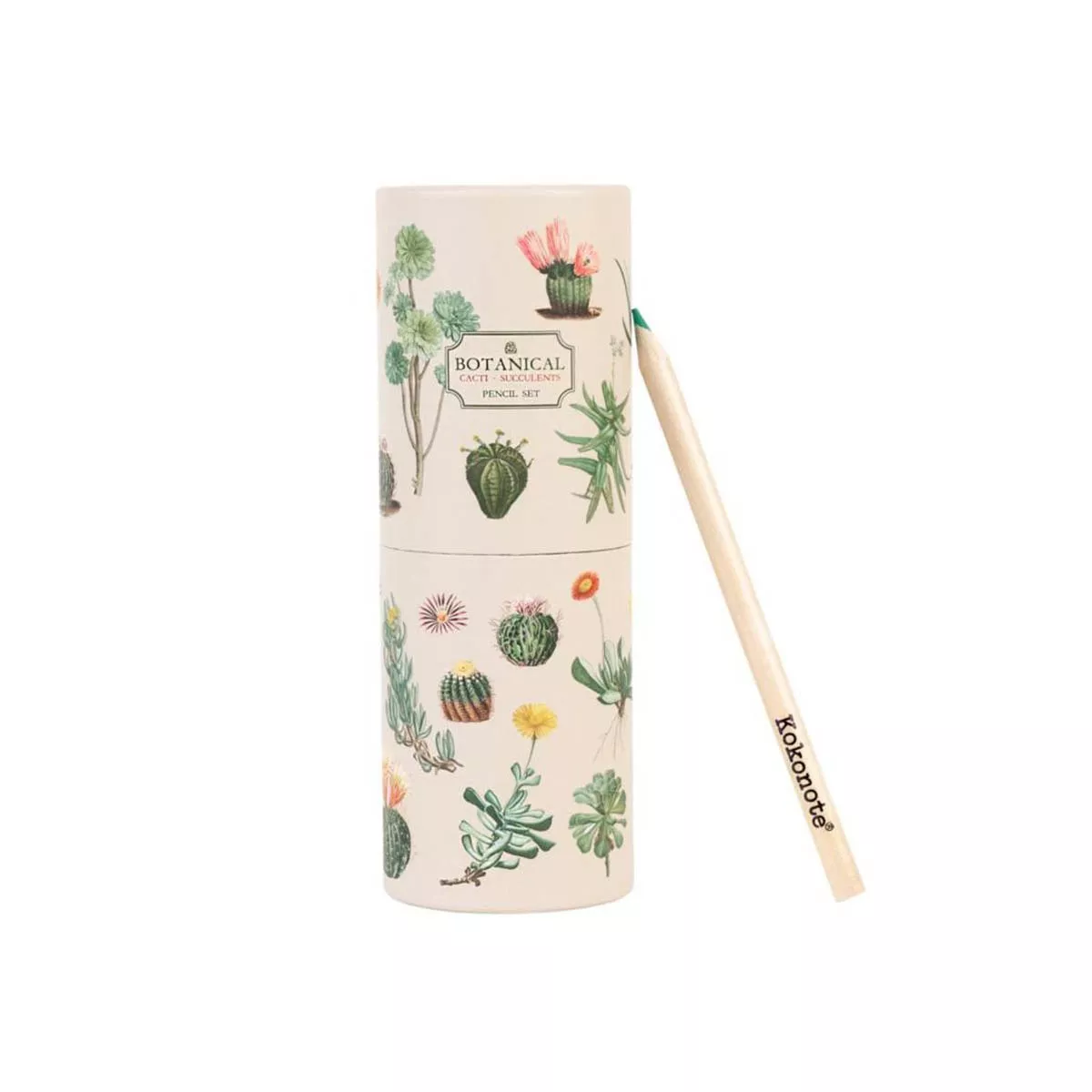 Kokonote - Set Lápices De Colores Botanical Cacti Verde Y Beige barato