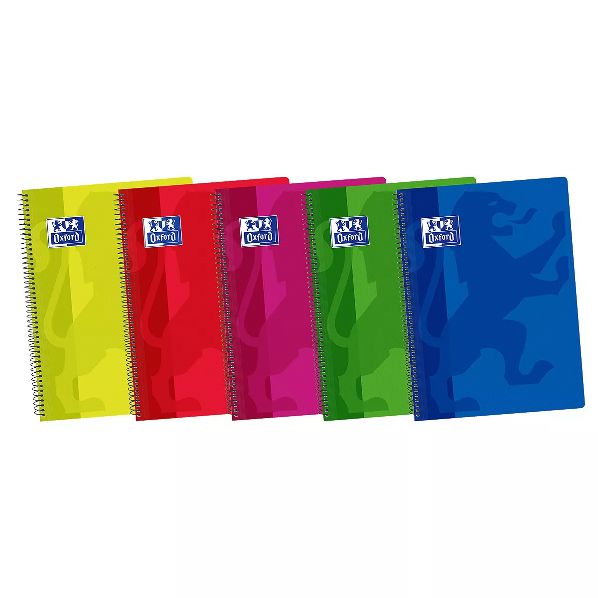 Oxford - Cuaderno Tamaño Folio 80 Hojas Con Cuadrícula 4 X4 Mm Tapa Plástico En Oferta Oxford - Cuaderno Tamaño Folio 80 Hojas Con Cuadrícula 4 X4 Mm Tapa Plástico Barato