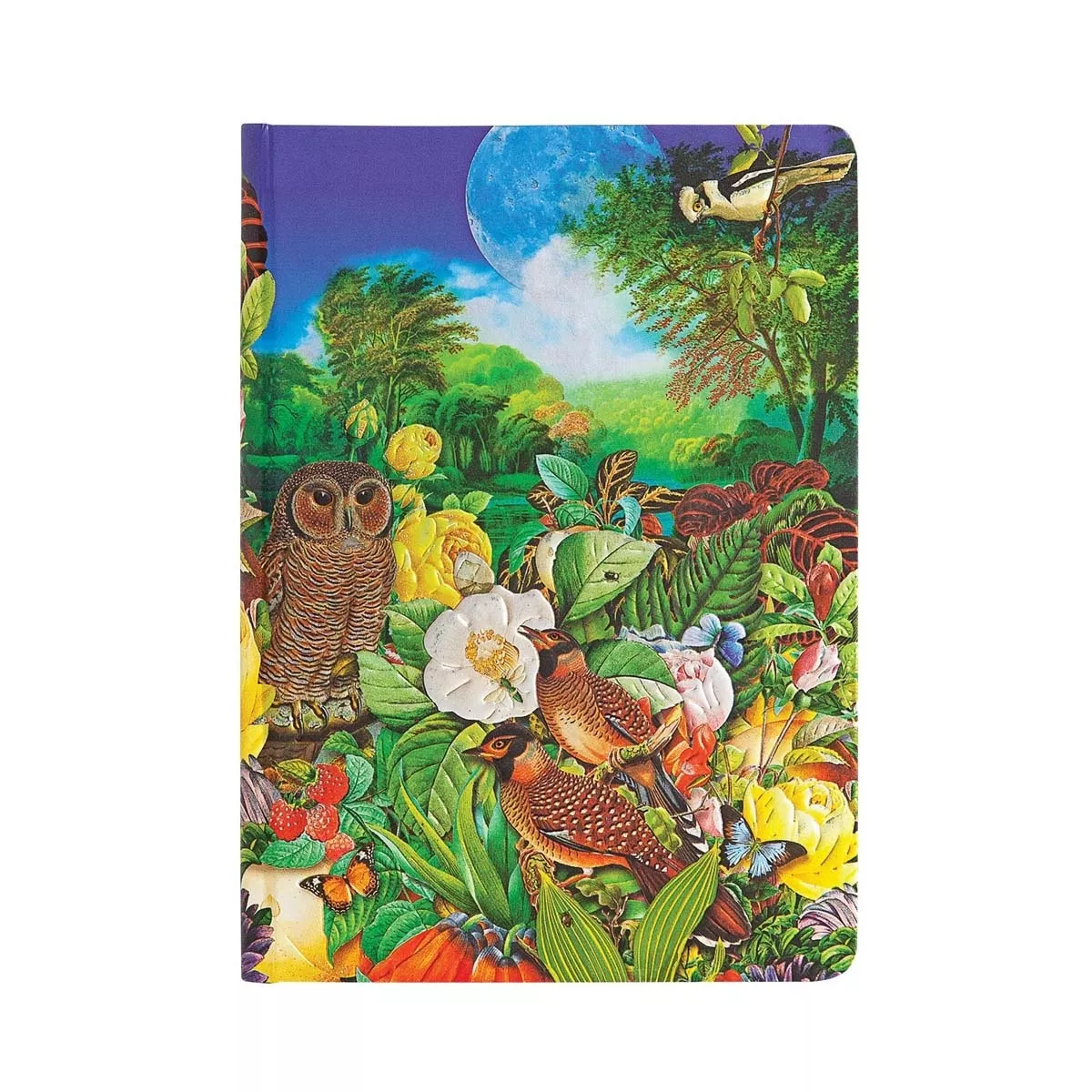 Paperblanks - Libreta Midi Liso Cierre Con Banda Elástica Jardín De Luna Multicolor En Oferta Paperblanks - Libreta Midi Liso Cierre Con Banda Elástica Jardín De Luna Multicolor Barato